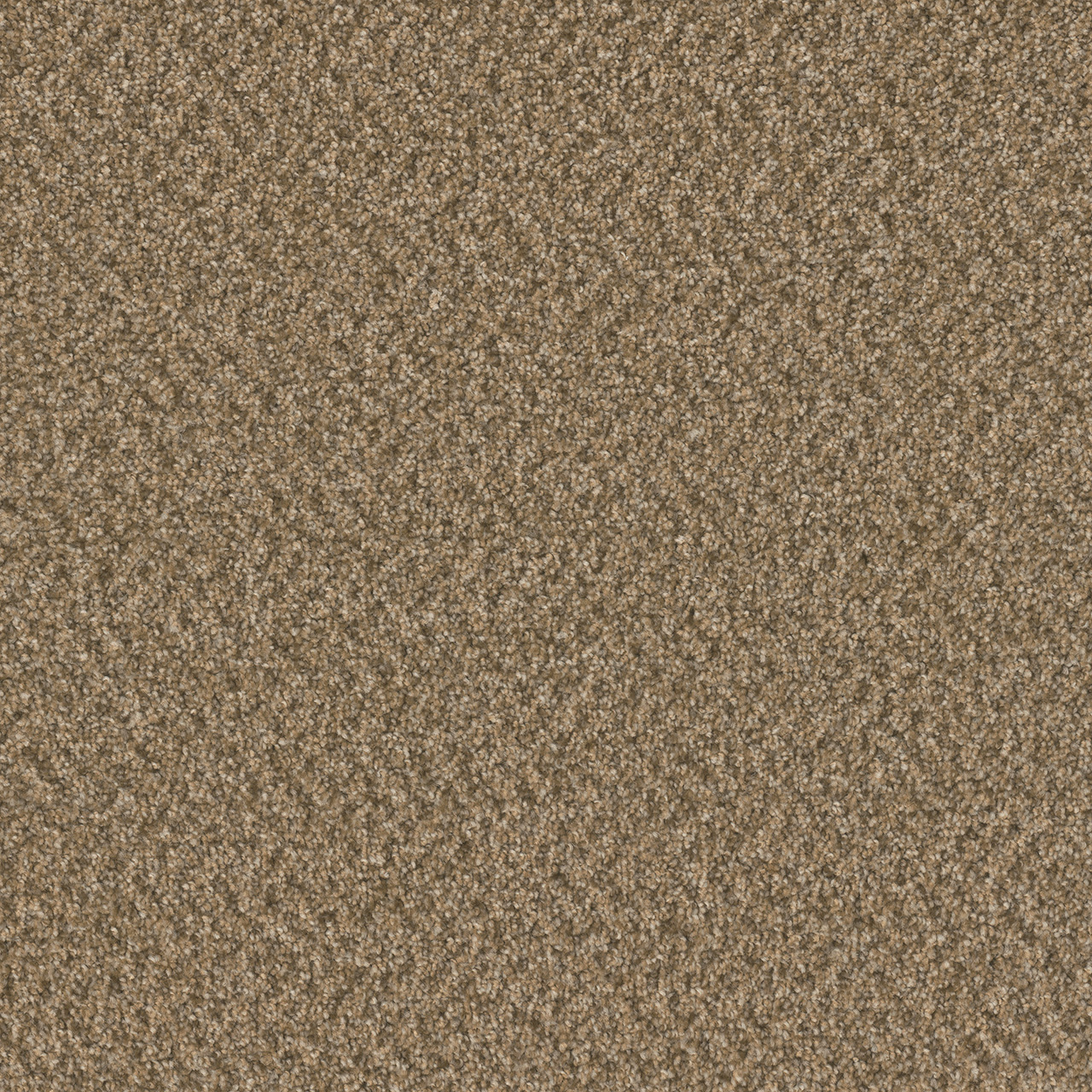 Broadcast Plus Aged Leather