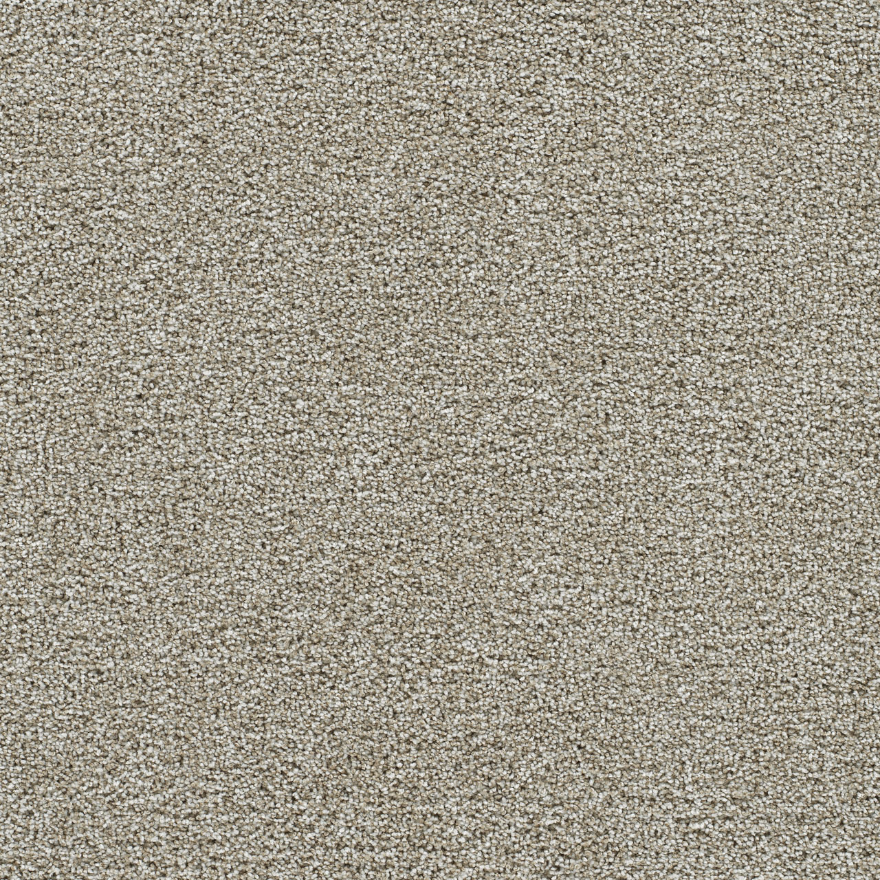 Gold Standard III Alloy